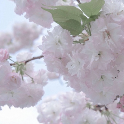 兽设配色搭配思路兽圈社群